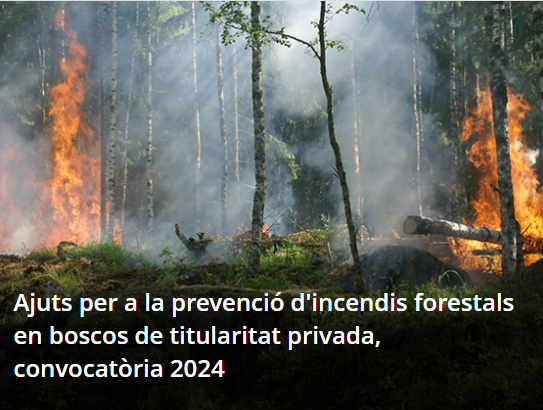ajut prevencio incendis